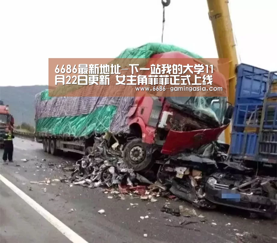 6686登录入口