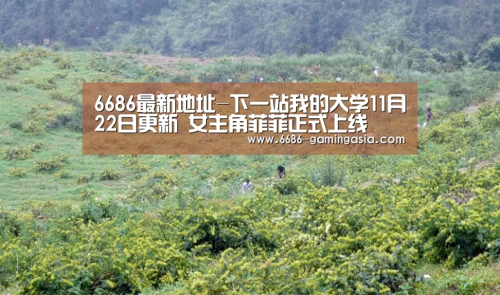 6686体育直播
