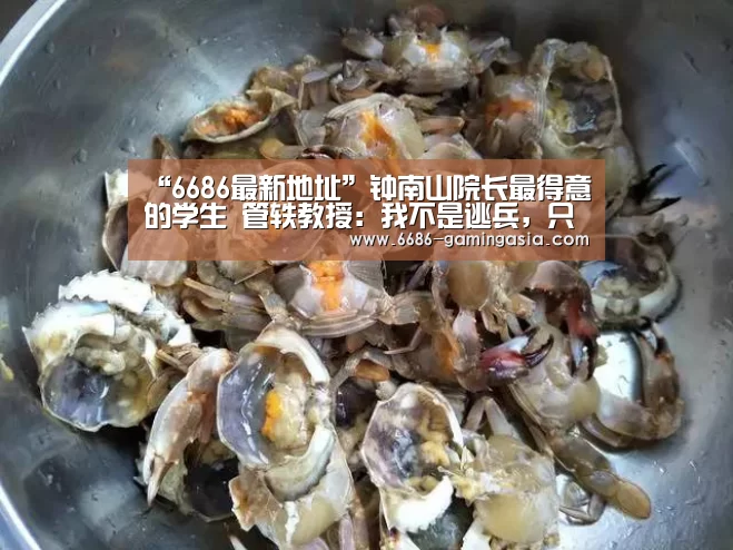 6686最新地址