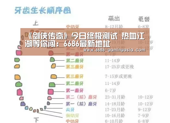 6686最新地址